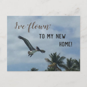 Cartão Postal De Anúncio Blue Change Of Address Pelican Photo New Home