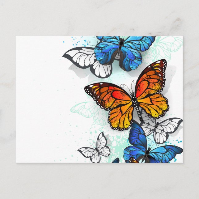 Cartão Postal De Anúncio Borboletas voadoras Morpho e Monarca (Frente)