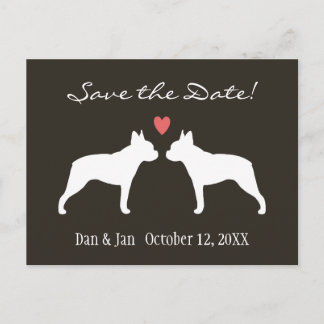 Cartão Postal De Anúncio Boston Terriers Casamento Salve a Data
