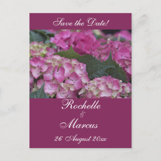 Cartão Postal De Anúncio Burgundy Dream Hydrangea