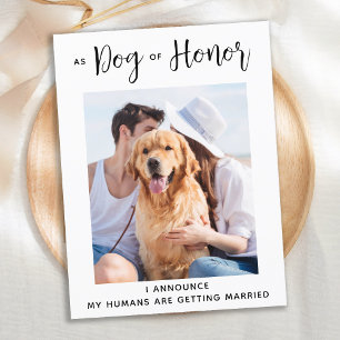 Cartão Postal De Anúncio Cachorro de Honra Casamento de Cachorro Salve a Da