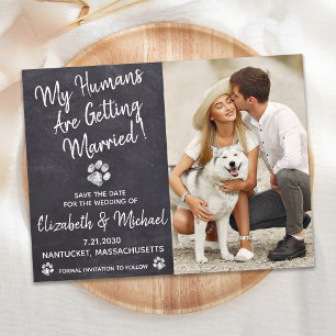 Cartão Postal De Anúncio Cachorro Russo De Casamento Salva A Data