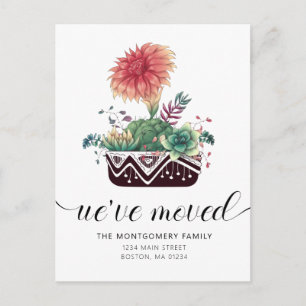 Cartão Postal De Anúncio Cactos Rosa Coral Coral Coral Coral Corais Cujos S