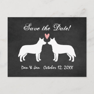Cartão Postal De Anúncio Cães de Gado Australianos Casamento Salve a Data