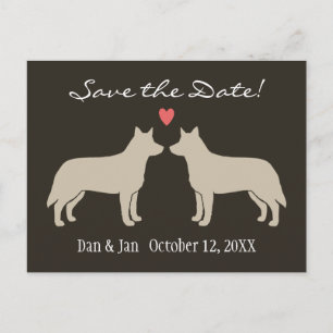 Cartão Postal De Anúncio Cães de Gado Australianos Casamento Salve a Data