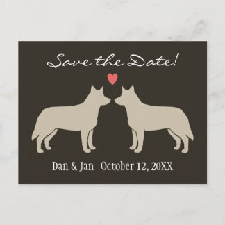 Cartão Postal De Anúncio Cães de Gado Australianos Casamento Salve a Data