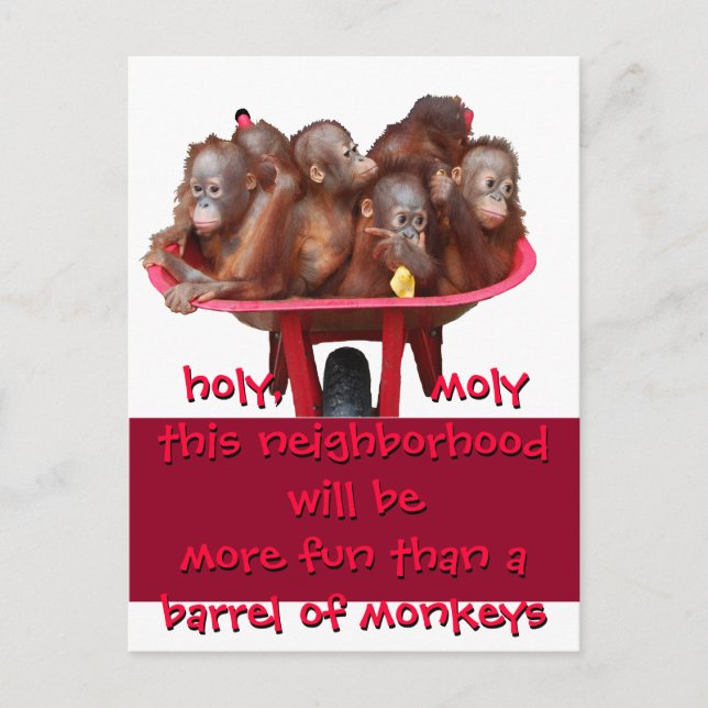 Cartão Postal De Anúncio Cano de Macacos Divertido Mudança Movimentada (Frente)