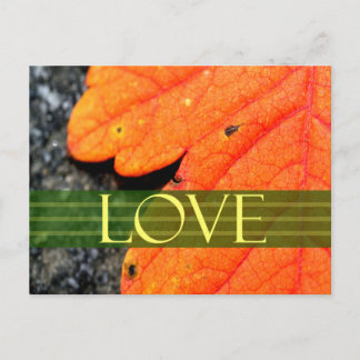 Cartão Postal De Anúncio Cartão de Casamento Save The Dates