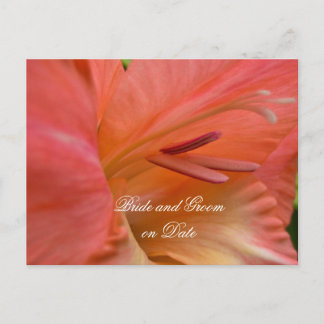 Cartão Postal De Anúncio Cartão de data de salvamento do Primavera de Hibis