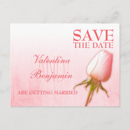 Cartão Postal De Anúncio Cartão de Salve a Data Rosa Única Rosa Cor-de-Rosa