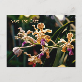 Cartão Postal De Anúncio Cartão de Save The Date de Orquídea Selvagem