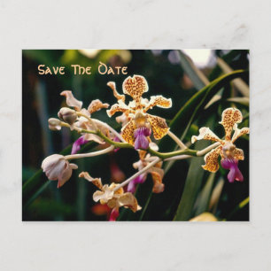 Cartão Postal De Anúncio Cartão de Save The Date de Orquídea Selvagem