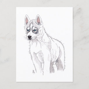 Cartão Postal De Anúncio Cartão-postal de 2019 Siberian Husky Puppy