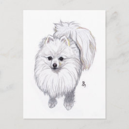 Cartão Postal De Anúncio Cartão-postal Pomerano 2019