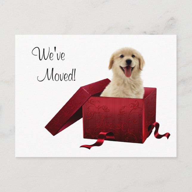 Cartão Postal De Anúncio Cartões-postais de Mudança de Endereço de Cachorri (Frente)