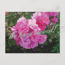 Cartão Postal De Anúncio Cartões-postais em movimento, bonitos, com flores 