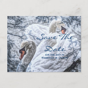 Cartão Postal De Anúncio casamento cisne branco lago inverno romântico