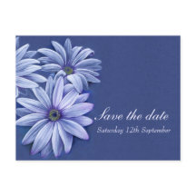 Casamento de Daisy osteospermum salve o cartão de