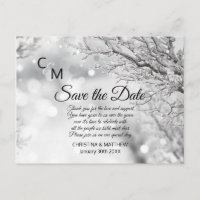 Casamento de Neve Flocos de Neve no Inverno SALVE