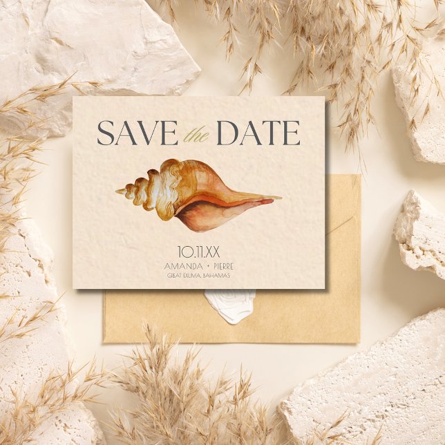 Cartão Postal De Anúncio Casamento Destino Praia de Conchas Save the Date (Seashell Beach Destination Wedding Save the Date postcard)