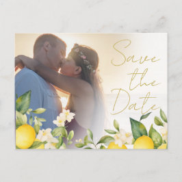 Cartão Postal De Anúncio Casamento Limões Sobreposição de Foto Citrus Salva