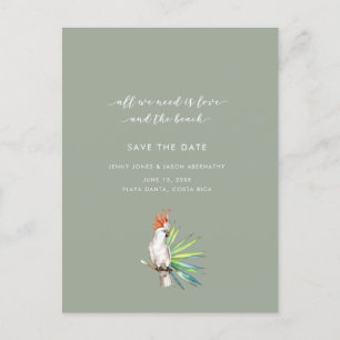 Cartão Postal De Anúncio Casamento na Praia Tropical com Papagaio - Salve a