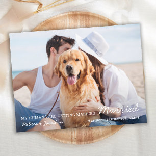 Cartão Postal De Anúncio Casamento Simples de Animais de Estimação Cachorro