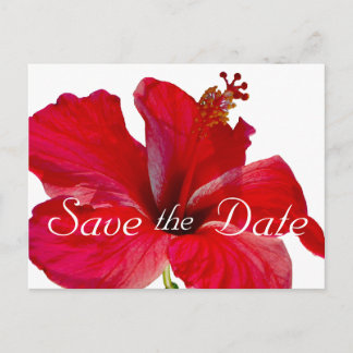 Cartão Postal De Anúncio Casamento Tropical de Hibiscus Salve a Data