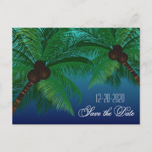 Cartão Postal De Anúncio Casamento Tropical Palm Tree Beach Salve as Datas
