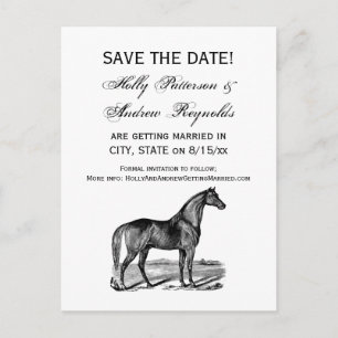 Cartão Postal De Anúncio Cavalo Vintage em Pé