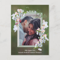 Cherry Blossoms Salve a Data