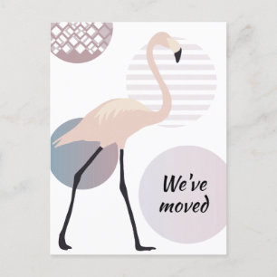 Cartão Postal De Anúncio Chic de Flamingo Rosa Círculos Artísticos Nova Mor