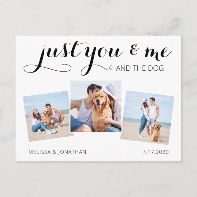Cartão Postal De Anúncio Colagem de Fotografias Personalizada Pet Wedding D (Frente)