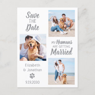 Cartão Postal De Anúncio Colagem de Fotos de Casamento de Cachorro Salvar a