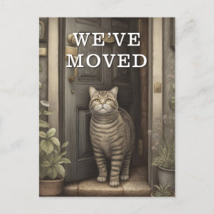 Cartão Postal De Anúncio Comunicado de Mudança do Gato