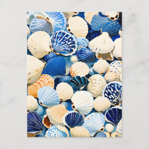Cartão Postal De Anúncio Conchas Marinhas de Verão