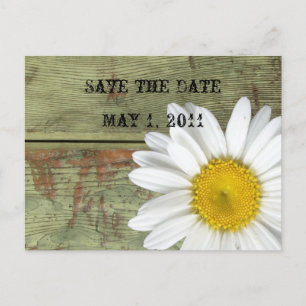 Cartão Postal De Anúncio Country Daisy and Barn Wood Salve a Data