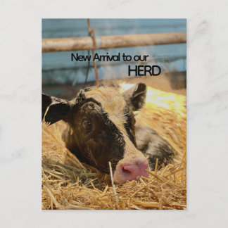 Cartão postal de anúncio de bebê