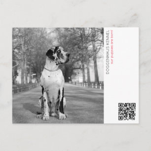 Cartão postal de anúncio de cachorrinho