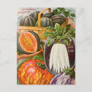 Cartão postal de anúncio de sementes vintage