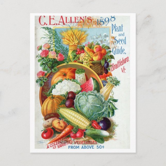 Cartão postal de anúncio de sementes vintage (Frente)