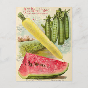 Cartão postal de anúncio de sementes vintage