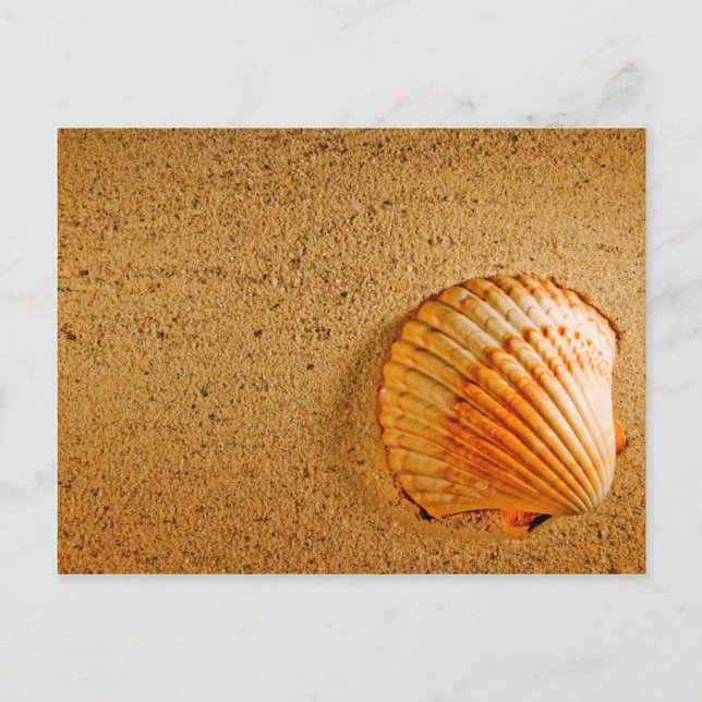 Cartão Postal De Anúncio Designer Salve A Placa Datas (Frente)