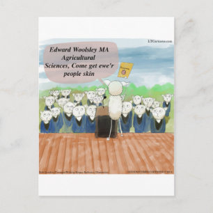 Cartão Postal De Anúncio Dia da Formatura das Ovelhas Engraçado