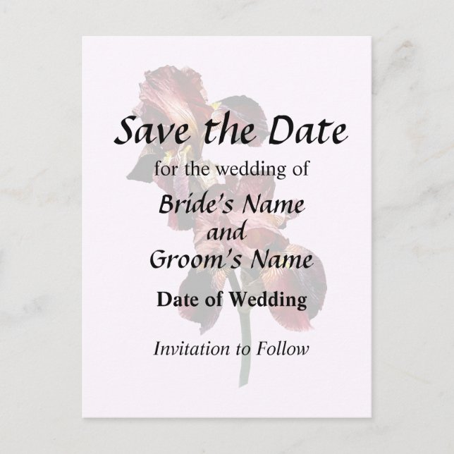 Cartão Postal De Anúncio Dois Íris Maroon e Amarelo (Frente)