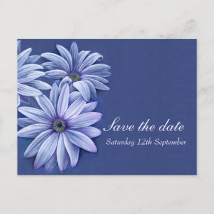 Cartão Postal De Anúncio Economias do casamento do osteospermum da