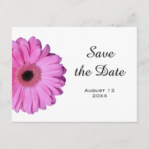 Cartão Postal De Anúncio Elegante Romântico Rosa Gerbera Daisy