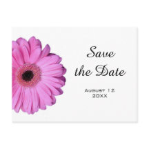 Elegante Romântico Rosa Gerbera Daisy