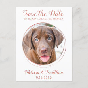 Cartão Postal De Anúncio Elegante Rosa Dourado Personalizado com Foto do Pe