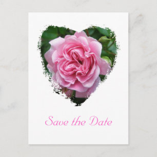 Cartão Postal De Anúncio Elementos de Coordenação de Rosa de Subida